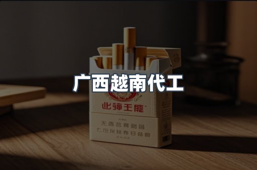 广西越南代工